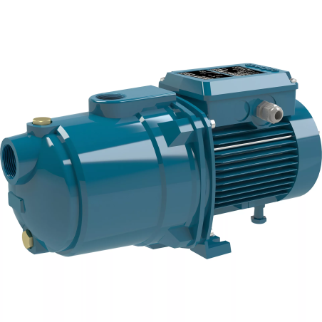 Calpeda Close-coupled self-priming shallow-well pump with built-in ejector - Ngl